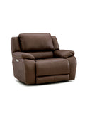 Dreamer Reclining Chair 1/2- Bark