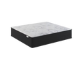 Revere Plush 2 Sided